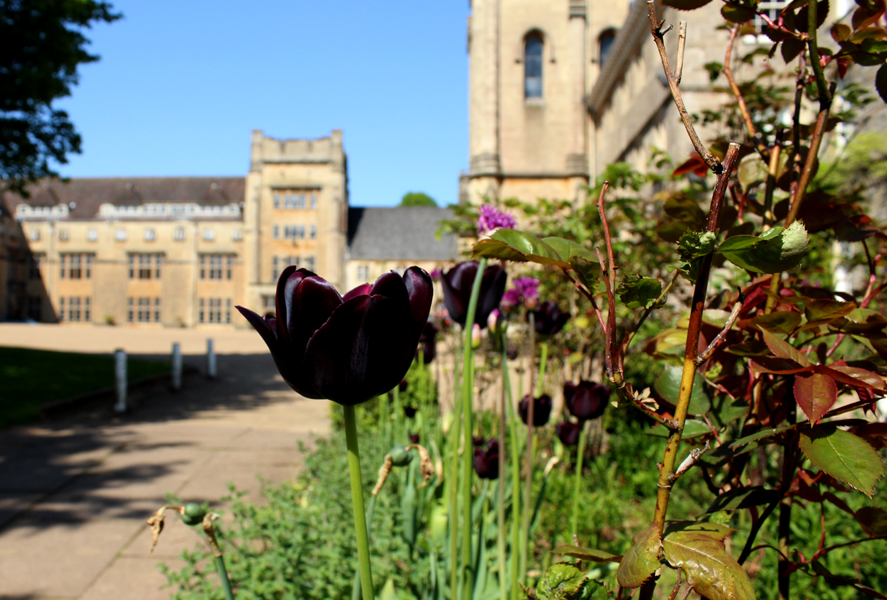 Congratulations to Downside School